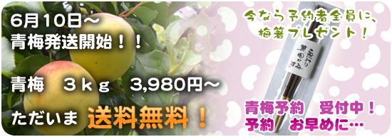 �U��10���`�@�~�����J�n�I�@�~�@�Rkg3,900�~�`�@���������I�@���Ȃ�\��ґS���ɔ~���v���[���g�I�@�~�\��@��t���I�@�\��͂����߂Ɂc