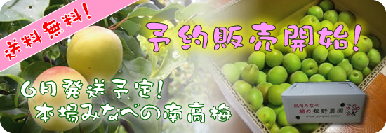 �{��݂Ȃד�~�@�̔��J�n�@����6���`