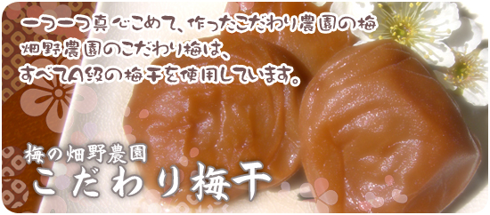 ���^�S���߂āA������������_�Ƃ̔~�@����_���̂������~�́A���ׂĂ`���̔~�����g�p���Ă��܂��B�@�~�̔���_���@�������~��