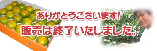 限定100ケースだけですが、よろしくお願い致します。送料無料でお届けします!