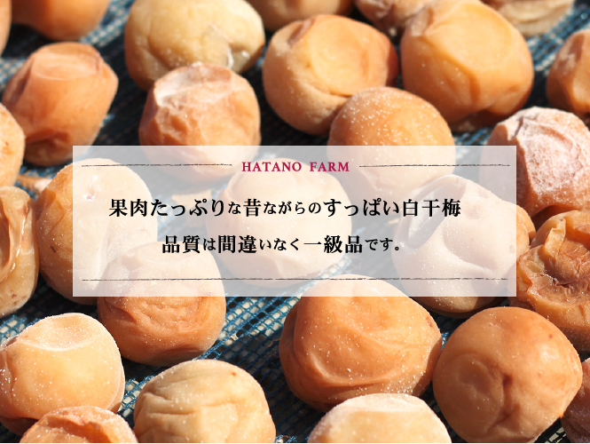 果肉たっぷりな昔ながらのすっぱい白干梅品質は間違いなく一級品です。