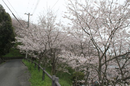 猪之山公園（猪之山観音）