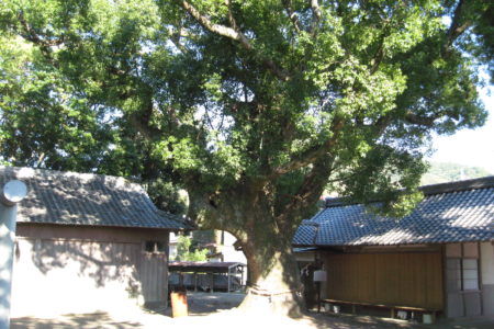 東岩代八幡神社