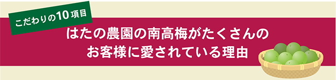 はたの農園の南高梅がたくさんのお客様に愛されている理由