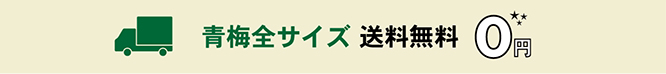 青梅全サイズ 送料無料