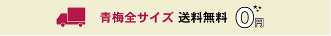 青梅全サイズ 送料無料