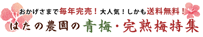 はたの農園の青梅・完熟梅特集